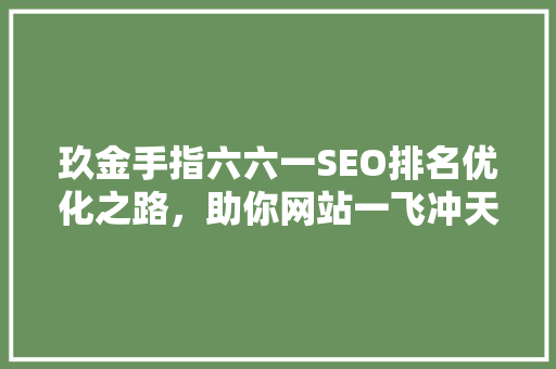 玖金手指六六一SEO排名优化之路，助你网站一飞冲天