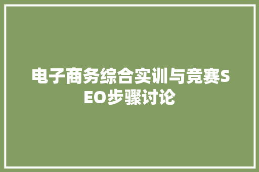 电子商务综合实训与竞赛SEO步骤讨论