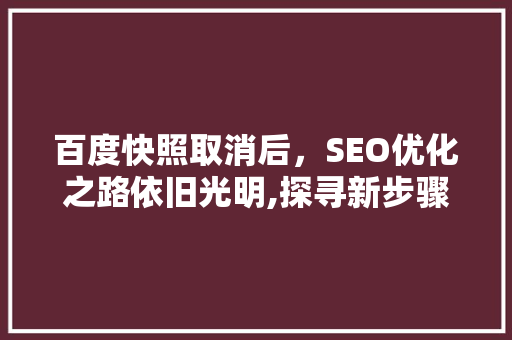 百度快照取消后，SEO优化之路依旧光明,探寻新步骤与机遇