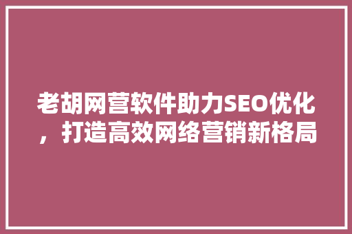 老胡网营软件助力SEO优化，打造高效网络营销新格局