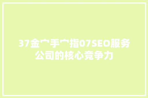 37金宀手宀指07SEO服务公司的核心竞争力