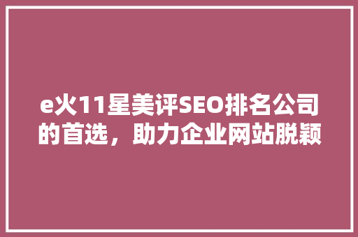 e火11星美评SEO排名公司的首选，助力企业网站脱颖而出