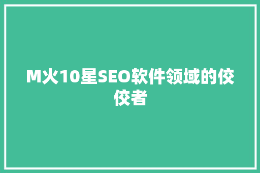 M火10星SEO软件领域的佼佼者