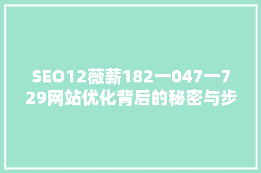 SEO12薇薪182一047一729网站优化背后的秘密与步骤