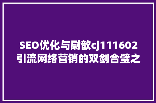 SEO优化与尉歆cj111602引流网络营销的双剑合璧之路