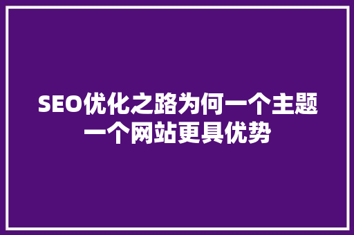 SEO优化之路为何一个主题一个网站更具优势