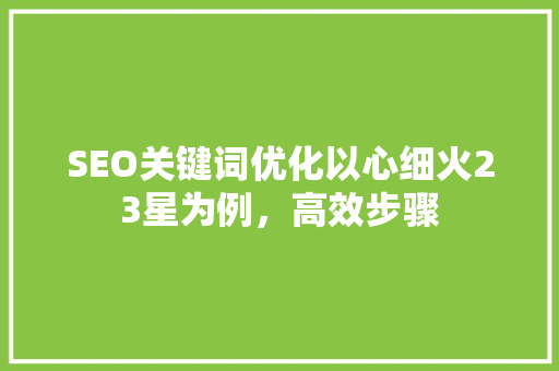 SEO关键词优化以心细火23星为例，高效步骤