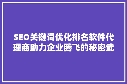 SEO关键词优化排名软件代理商助力企业腾飞的秘密武器