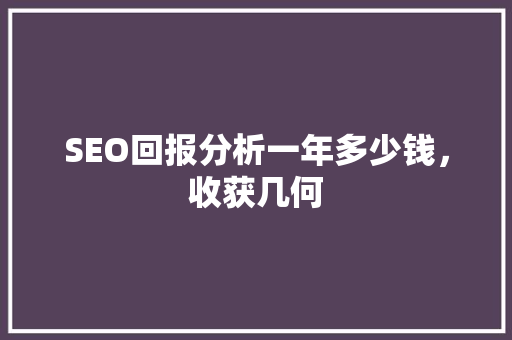 SEO回报分析一年多少钱，收获几何
