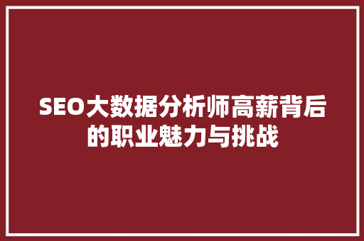 SEO大数据分析师高薪背后的职业魅力与挑战