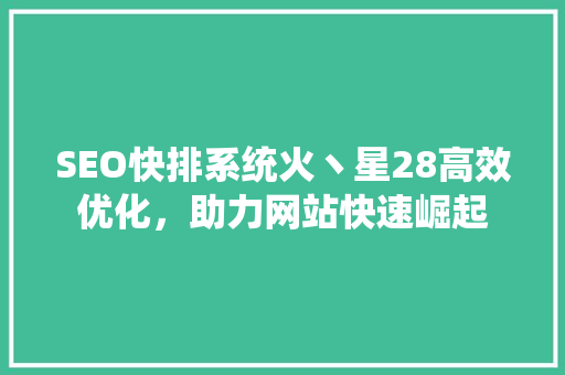 SEO快排系统火丶星28高效优化，助力网站快速崛起