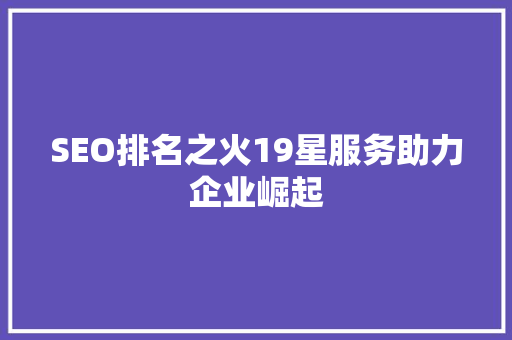SEO排名之火19星服务助力企业崛起