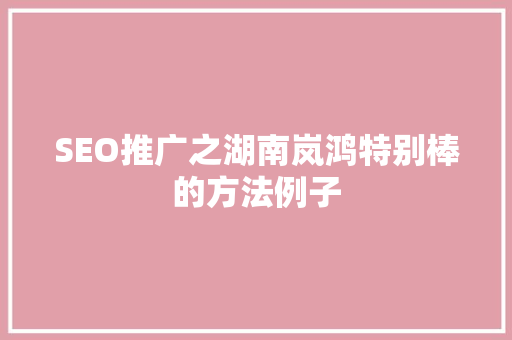 SEO推广之湖南岚鸿特别棒的方法例子