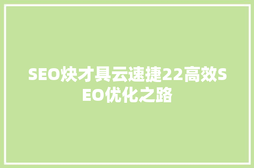 SEO炔才具云速捷22高效SEO优化之路