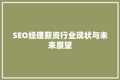 SEO经理薪资行业现状与未来展望
