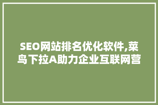 SEO网站排名优化软件,菜鸟下拉A助力企业互联网营销新起点
