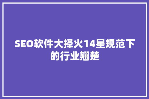 SEO软件大择火14星规范下的行业翘楚