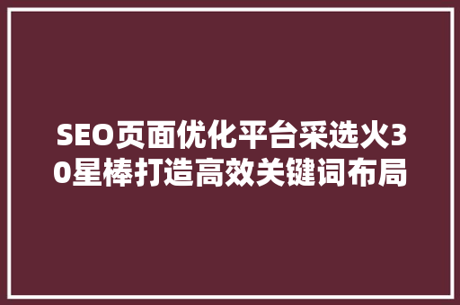 SEO页面优化平台采选火30星棒打造高效关键词布局之路