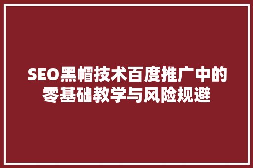 SEO黑帽技术百度推广中的零基础教学与风险规避