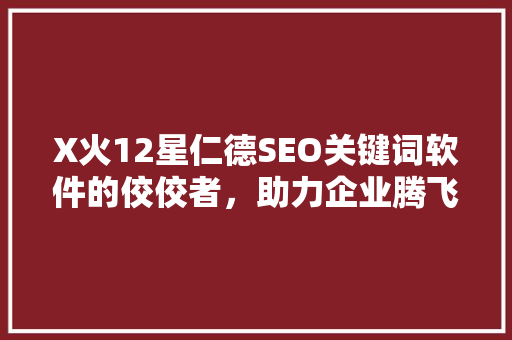 X火12星仁德SEO关键词软件的佼佼者，助力企业腾飞