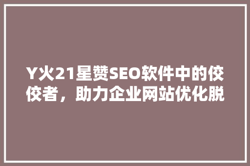 Y火21星赞SEO软件中的佼佼者，助力企业网站优化脱颖而出