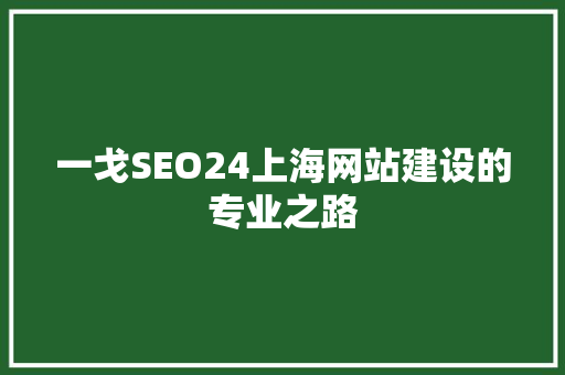 一戈SEO24上海网站建设的专业之路  第1张