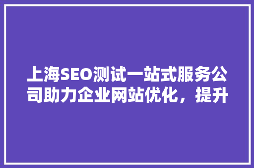 上海SEO测试一站式服务公司助力企业网站优化，提升在线竞争力