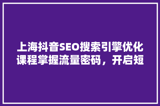 上海抖音SEO搜索引擎优化课程掌握流量密码，开启短视频营销新篇章