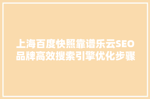 上海百度快照靠谱乐云SEO品牌高效搜索引擎优化步骤