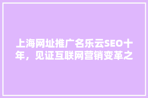 上海网址推广名乐云SEO十年，见证互联网营销变革之路