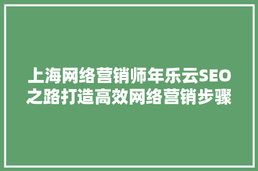 上海网络营销师年乐云SEO之路打造高效网络营销步骤