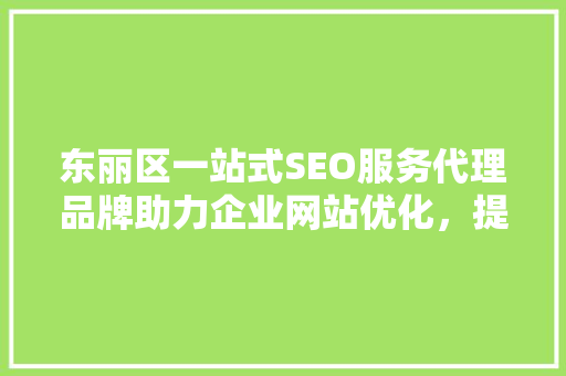 东丽区一站式SEO服务代理品牌助力企业网站优化，提升在线竞争力