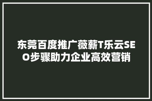 东莞百度推广薇薪T乐云SEO步骤助力企业高效营销