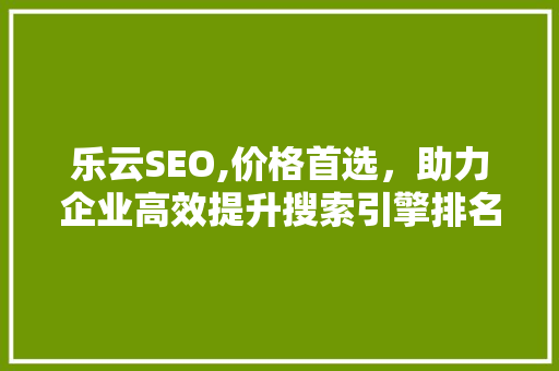 乐云SEO,价格首选，助力企业高效提升搜索引擎排名