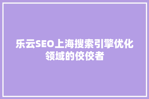 乐云SEO上海搜索引擎优化领域的佼佼者