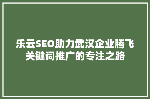 乐云SEO助力武汉企业腾飞关键词推广的专注之路