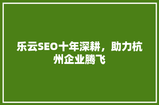 乐云SEO十年深耕，助力杭州企业腾飞