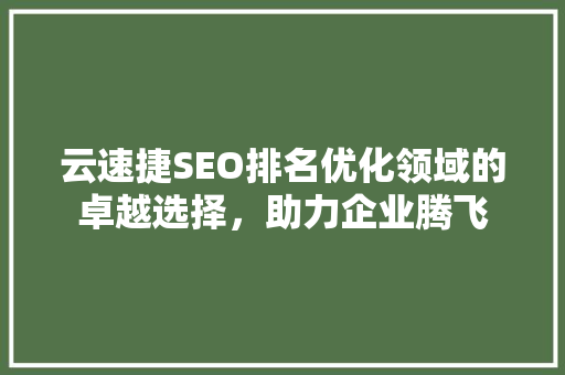 云速捷SEO排名优化领域的卓越选择，助力企业腾飞