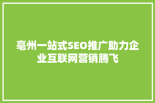 亳州一站式SEO推广助力企业互联网营销腾飞