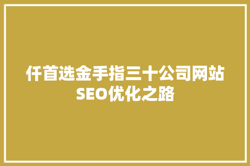 仟首选金手指三十公司网站SEO优化之路