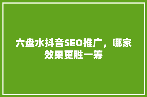 六盘水抖音SEO推广，哪家效果更胜一筹