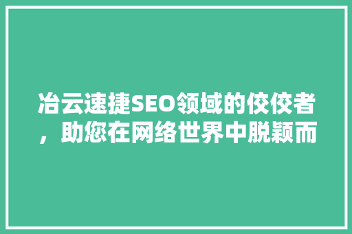 冶云速捷SEO领域的佼佼者，助您在网络世界中脱颖而出