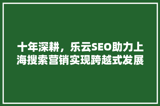 十年深耕，乐云SEO助力上海搜索营销实现跨越式发展