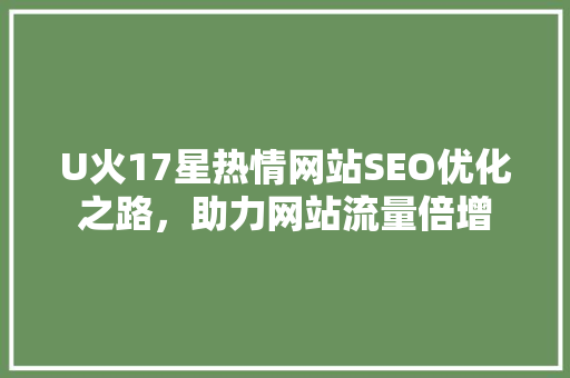 U火17星热情网站SEO优化之路，助力网站流量倍增
