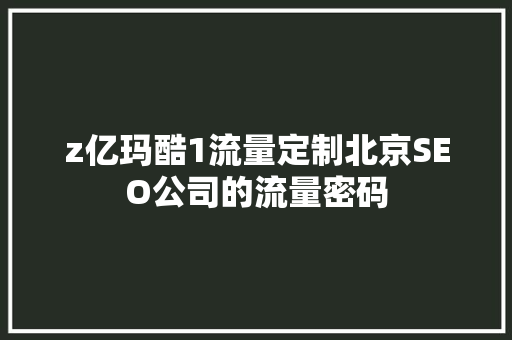z亿玛酷1流量定制北京SEO公司的流量密码
