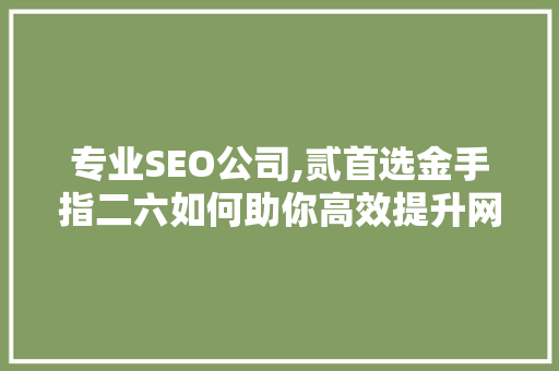 专业SEO公司,贰首选金手指二六如何助你高效提升网站排名