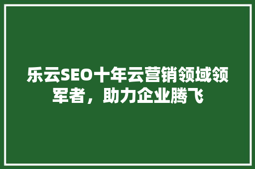 乐云SEO十年云营销领域领军者，助力企业腾飞
