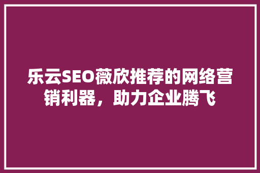 乐云SEO薇欣推荐的网络营销利器，助力企业腾飞