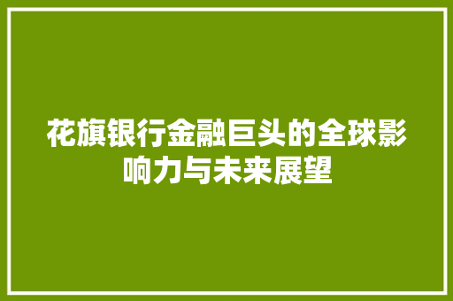 花旗银行金融巨头的全球影响力与未来展望