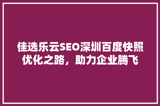佳选乐云SEO深圳百度快照优化之路，助力企业腾飞